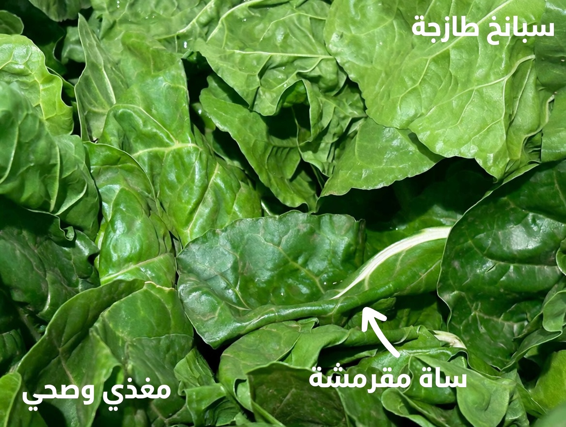 أفضل 5 خضروات لتنقية الشرايين ومنع النوبات القلبية!