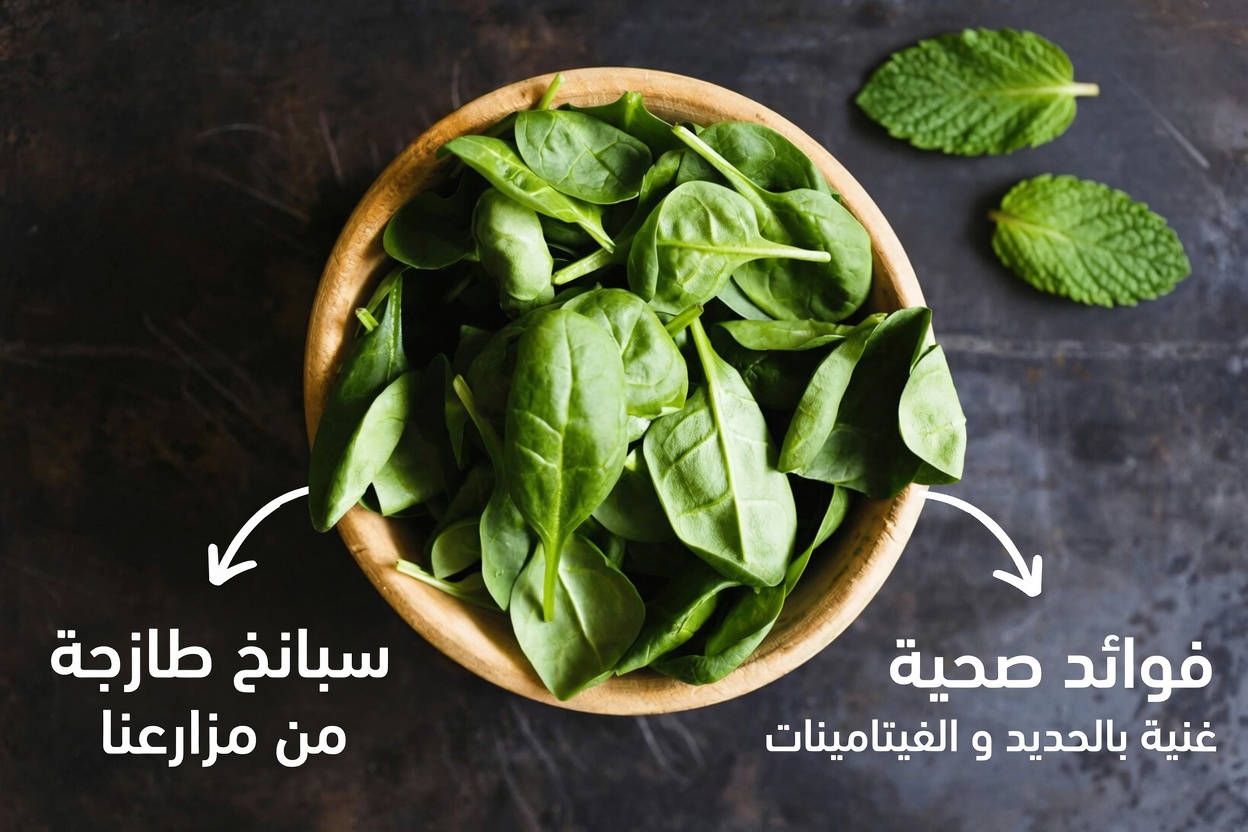 أفضل 5 خضروات يومية قد تساعد في خفض ارتفاع مستويات الكرياتينين ودعم تحسّن معدل الترشيح الكبيبي (GFR) بشكل طبيعي