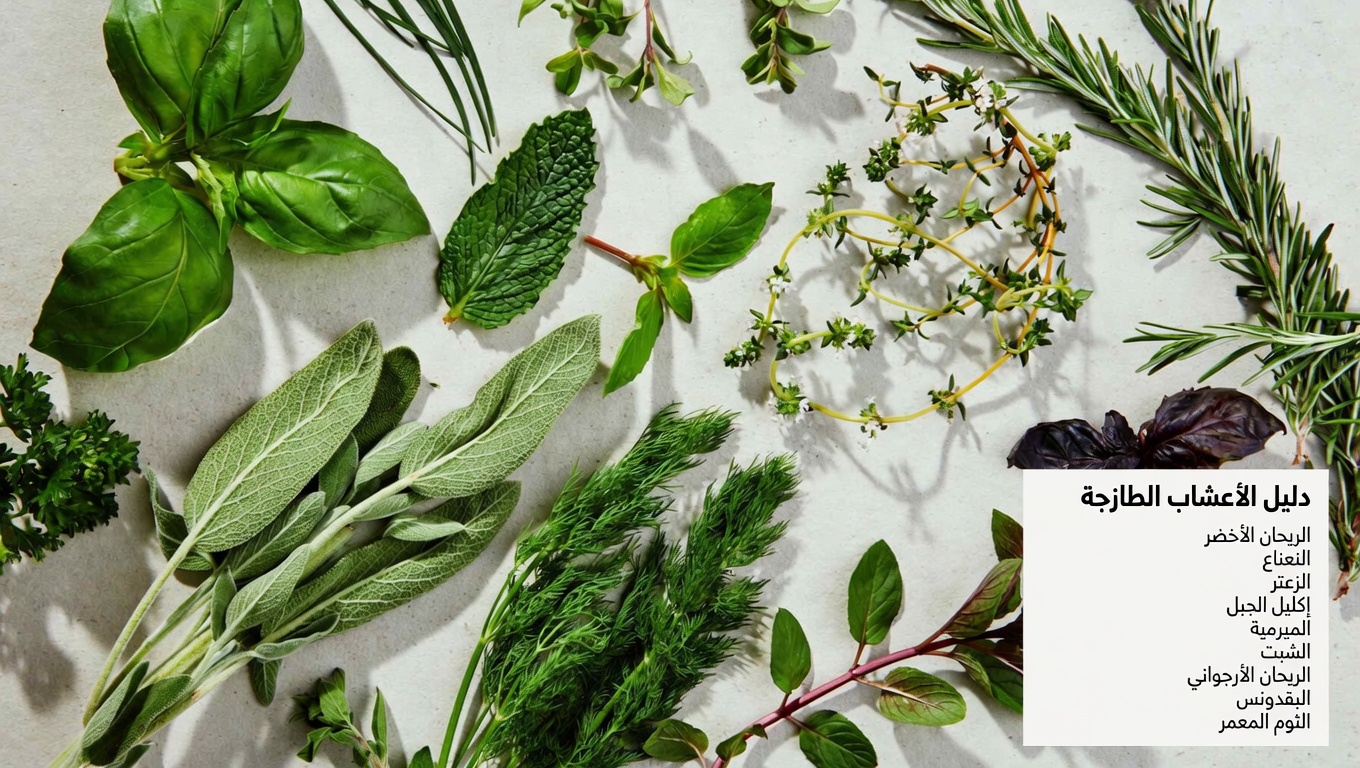 هل يمكن أن تكون الورقة المعجزة الطريقة الطبيعية لتعزيز دفاعات جسمك وحيويته العامة؟