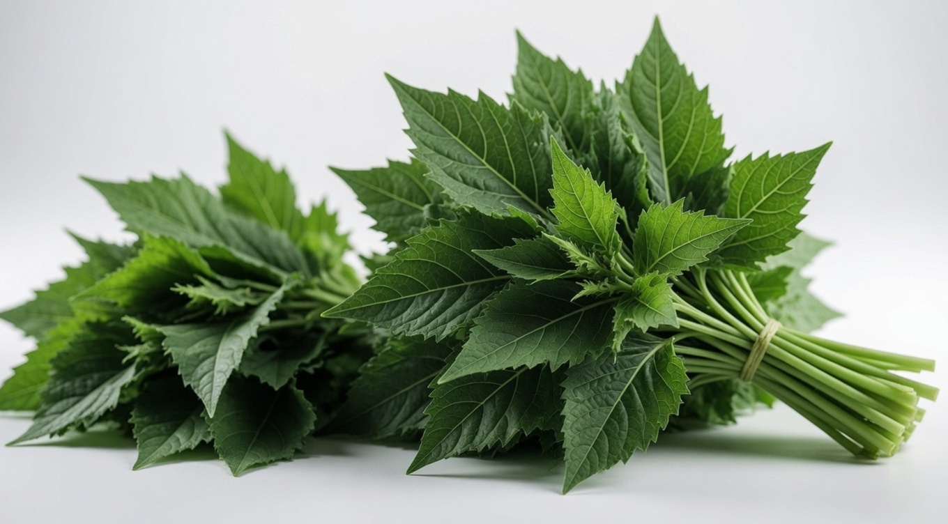 12 من الأطعمة الخارقة التي تُخفض مستويات الكرياتينين كالحجر وتمنح كليتيك فرصة للقتال – حتى لو قال طبيبك للتو: «إنه في ازدياد»