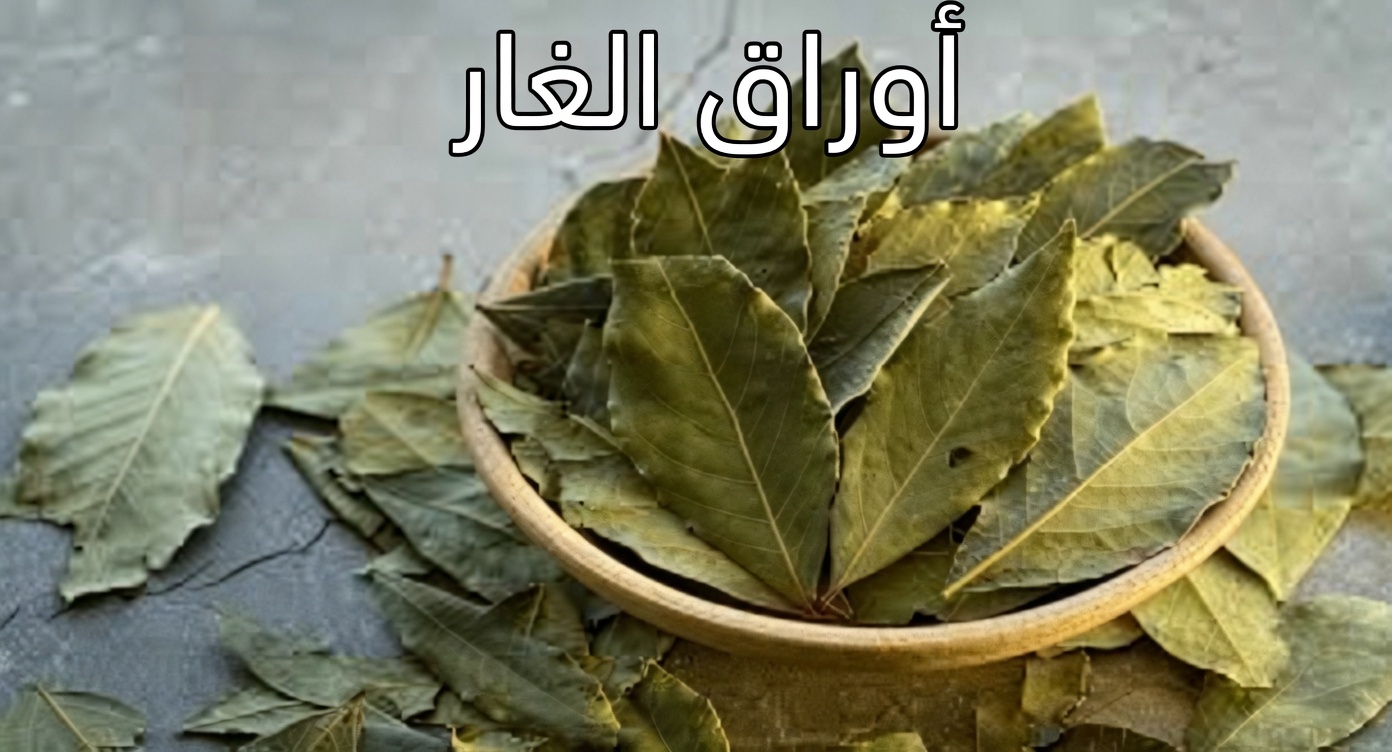 ورقة واحدة قد تساعد في إدارة السكري وضغط الدم وآلام الجسم والكوليسترول وضعف الدورة الدموية