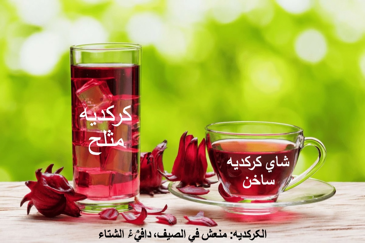 اكتشف هذه المشروبات الـ11 قبل النوم التي قد تساعد في التحكم بمستويات الكرياتينين ودعم صحة الكلى طبيعيًا