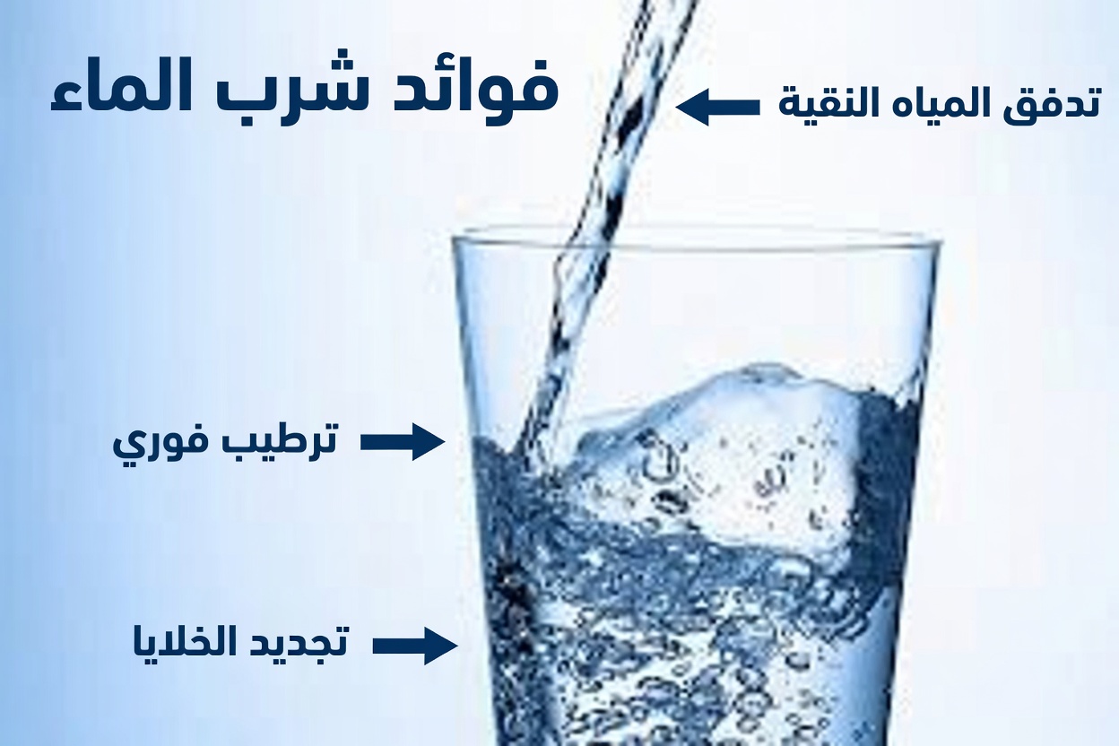 مشروب الصباح لمدة 10 دقائق الذي قد يعيد ضبط أمعائك