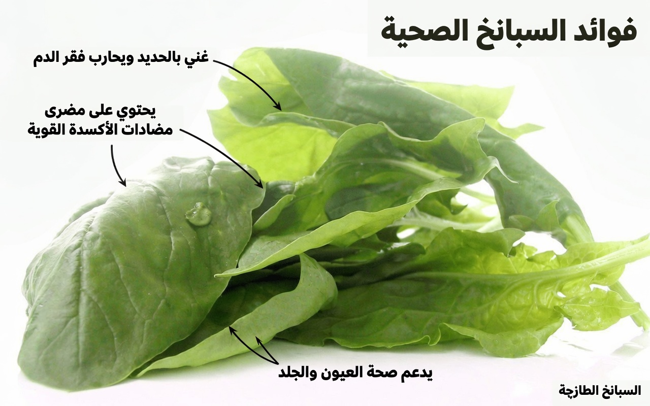 اكتشف أفضل 9 خضروات قد تساعد على خفض سكر الدم طبيعيًا للحصول على طاقة يومية ثابتة