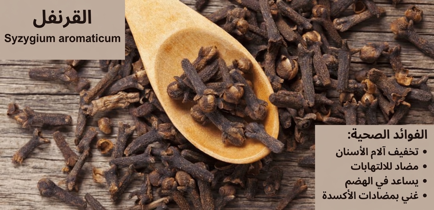 الخطأ الشائع رقم واحد عند مضغ القرنفل وكيفية تجنّبه لاستخدام أكثر أمانًا