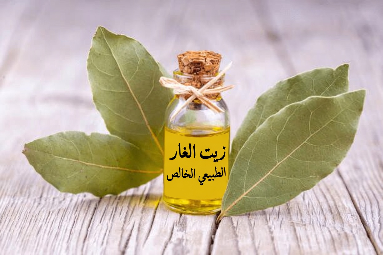 ورق الغار للبشرة: استكشاف الفوائد والاستخدامات الطبيعية للبشرة المعرّضة للتجاعيد والبشرة الناضجة