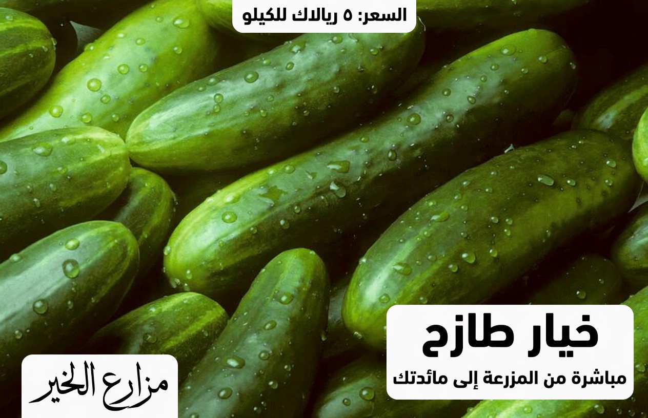 كبار السن: اكتشفوا الأطعمة اليومية السبعة التي اعتمد عليها الدكتور نورمان ووكر لطول العمر وحيوية الجسم