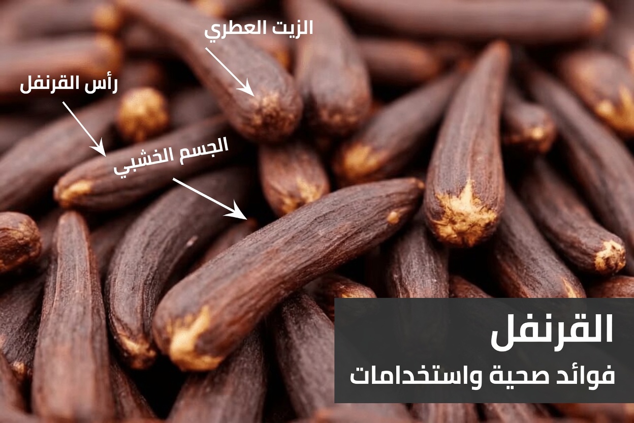 اكتشاف حمّامات المقعدة بماء القرنفل: كيف يمكن لهذا الطقس البسيط أن يساعد النساء على الشعور بمزيد من الراحة والثقة