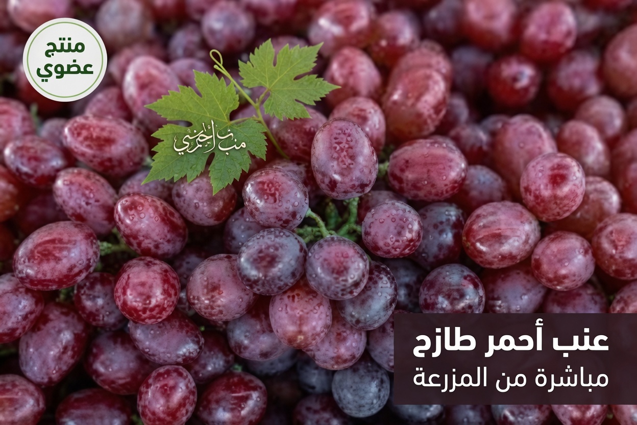 ارتفاع الكرياتينين؟ 4 فواكه يجب تناولها ليلًا لدعم صحة الكلى وإزالة السموم بلطف بشكل طبيعي