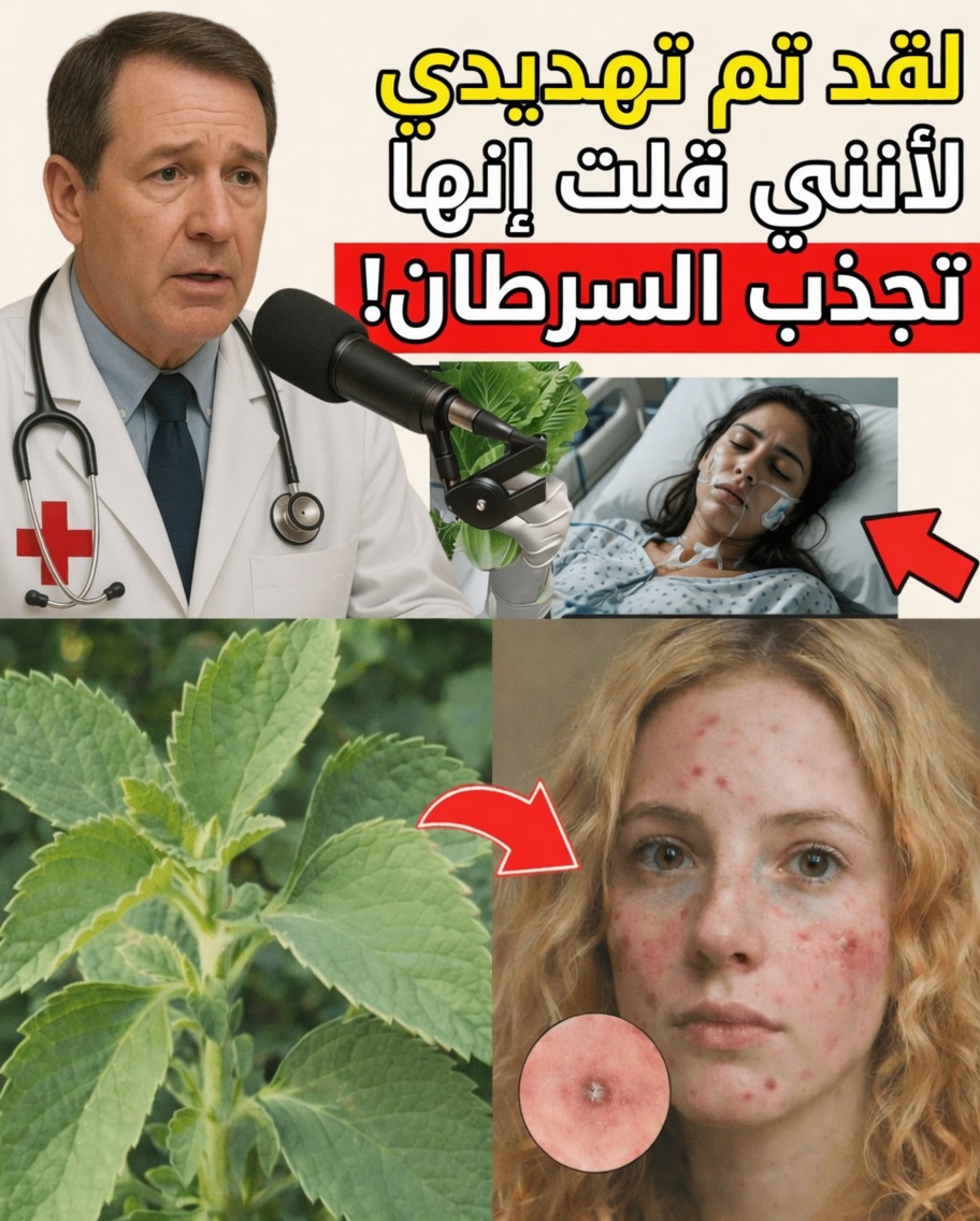 الادعاء الفيروسي الذي صدم الملايين: قد يكون هذا الخضار اليومي يغذي خطر الإصابة بالسرطان – إليك الحقيقة وما الذي يمكنك تناوله بدلاً منه