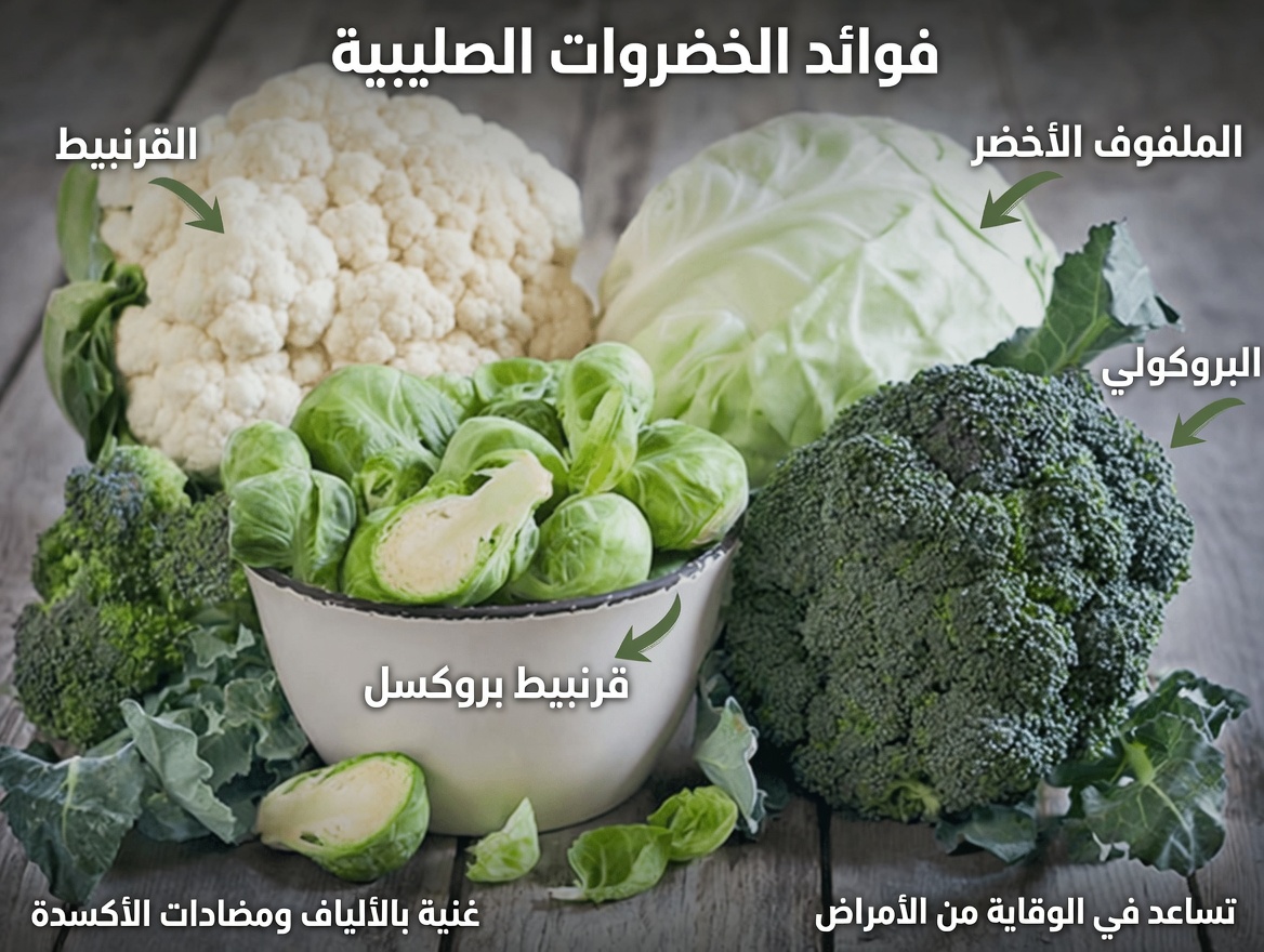 اكتشف رؤى جائزة نوبل: أطعمة يومية قد تساعد على إبطاء الشيخوخة وتعزيز طول العمر