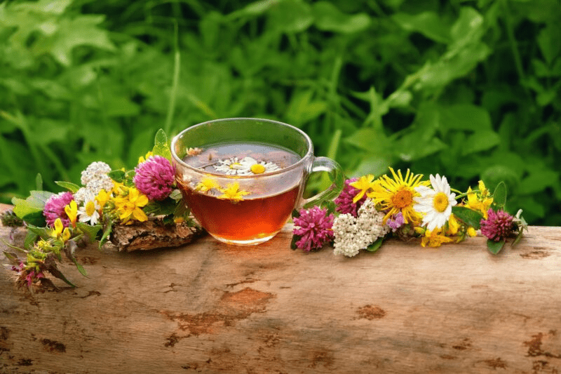 أكثر من 60 عامًا؟ اكتشف 3 أنواع من الشاي قد تساعد في دعم قوة العضلات والحركة