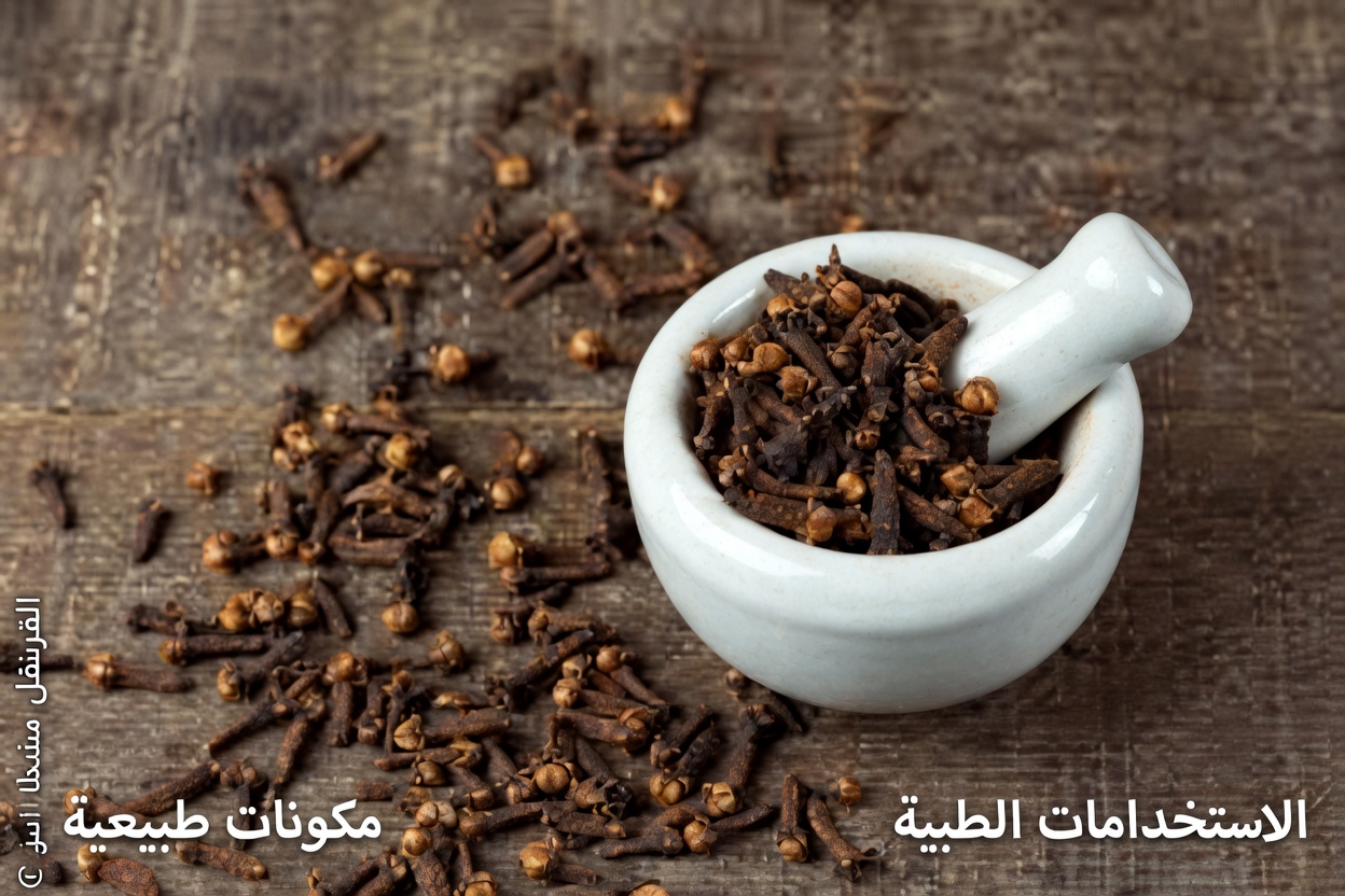 ماء القرنفل: منقوع عشبي طبيعي لدعم العافية اليومية