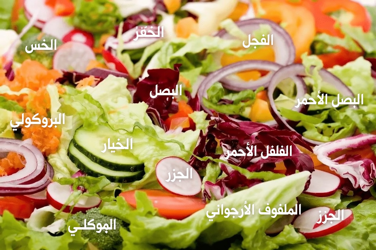 اكتشف أفضل 5 خضروات قد تساعد في دعم صحة الكلى والحفاظ على توازن لطيف للكرياتينين بشكل طبيعي