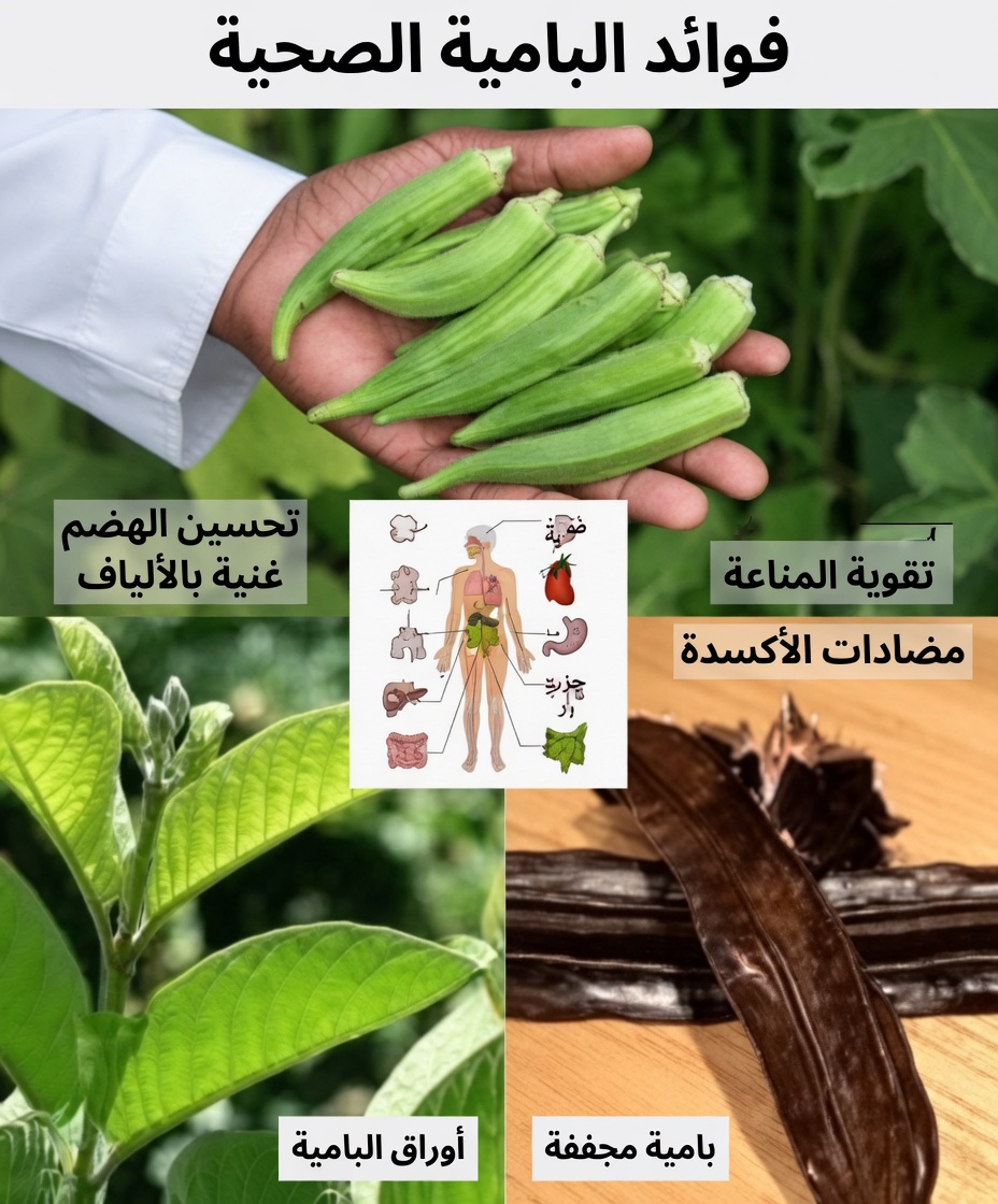 كنوز الطبيعة الخفية: أطلقي قوة الإباضة بأوراق الجوافة وثمرة الأيدان والبامية