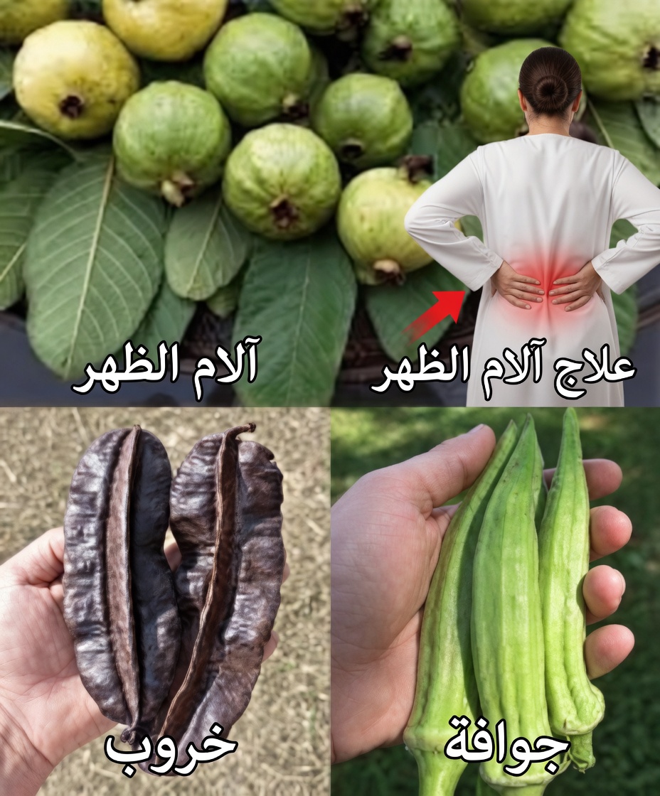 كنوز الطبيعة الخفية: أطلقي قوة الإباضة بأوراق الجوافة وثمرة الأيدان والبامية