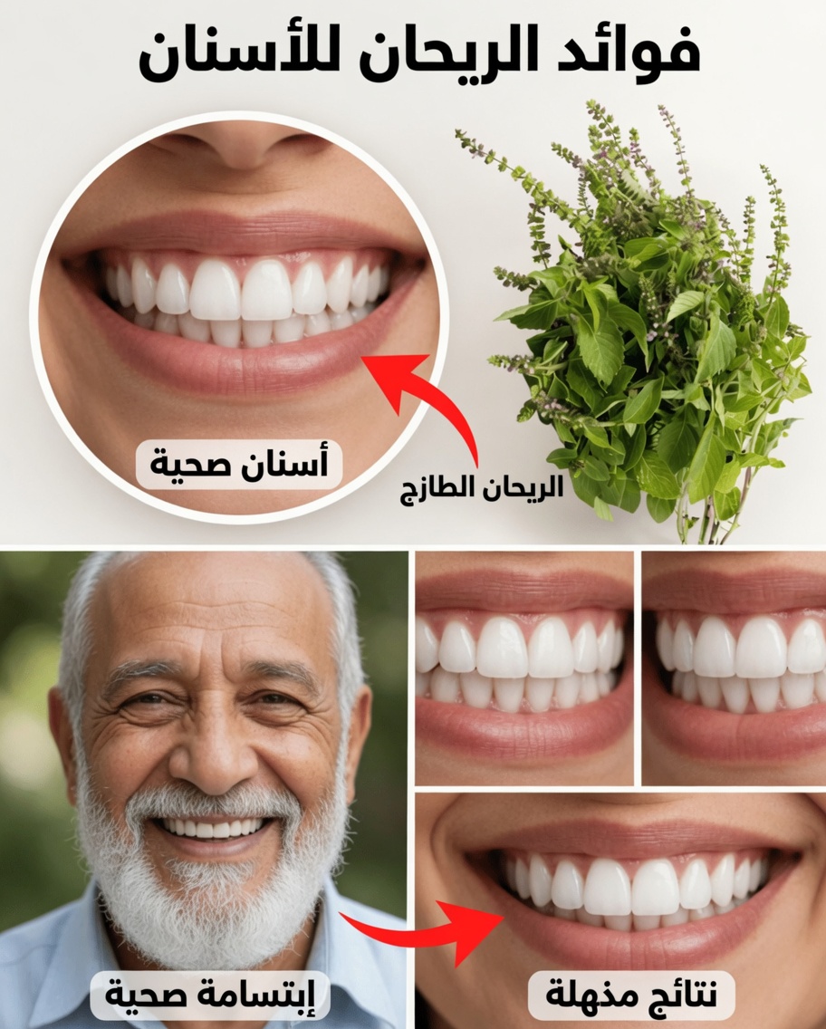 الريحان المقدس (التولسي) لصحة الفم: علاج طبيعي للتسوس، مشكلات اللثة، رائحة الفم الكريهة وأسنان أقوى