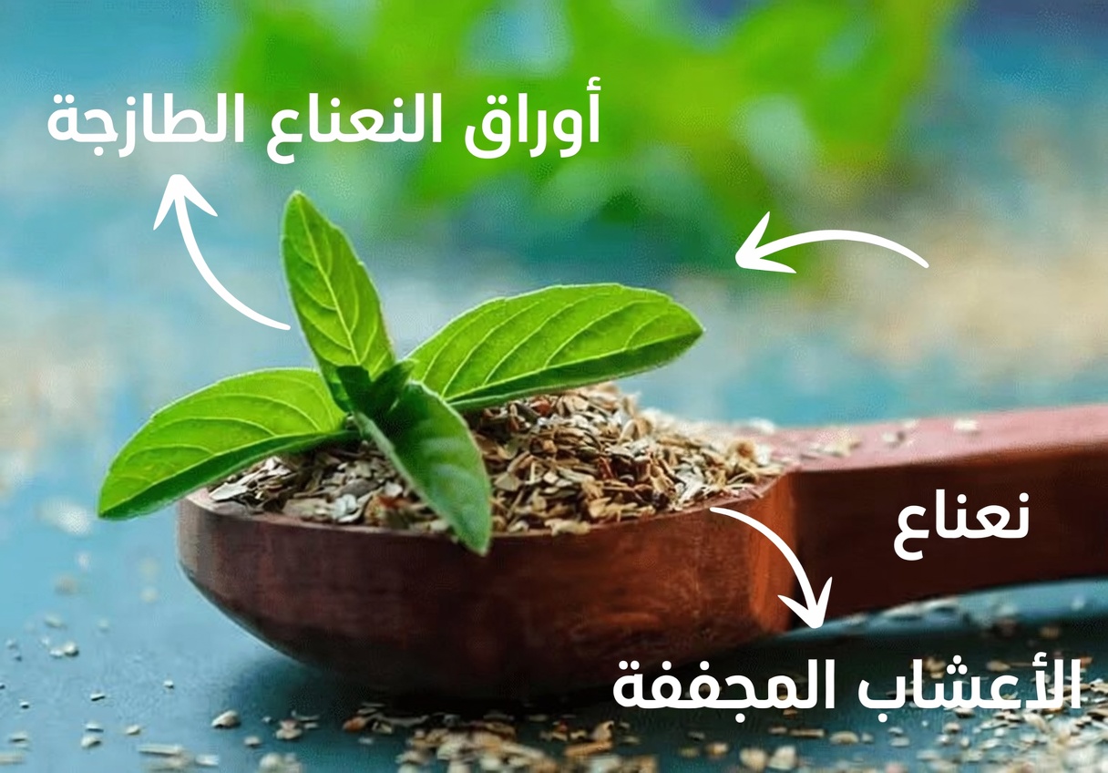 الريحان المقدس (التولسي) لصحة الفم: علاج طبيعي للتسوس، مشكلات اللثة، رائحة الفم الكريهة وأسنان أقوى