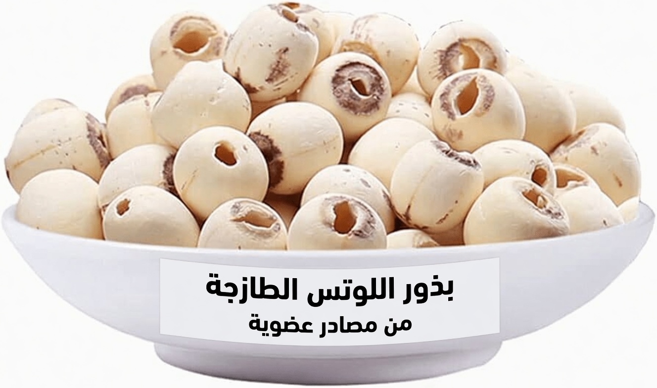 الطعام الوحيد المفقود الذي يذيب عضلاتك بهدوء بعد سن الستين (وخمسة أطعمة يوصي بها الرهبان لاستعادتها)