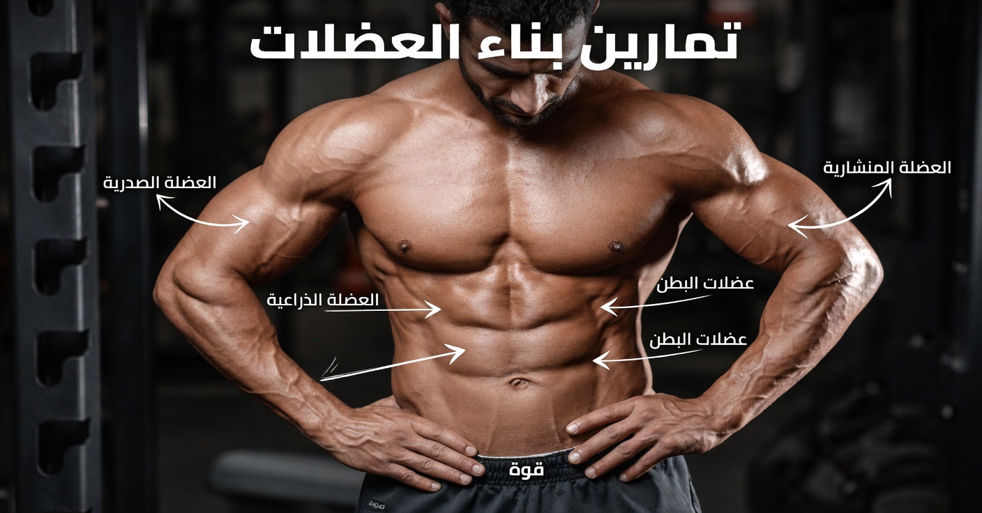 الطعام الوحيد المفقود الذي يذيب عضلاتك بهدوء بعد سن الستين (وخمسة أطعمة يوصي بها الرهبان لاستعادتها)