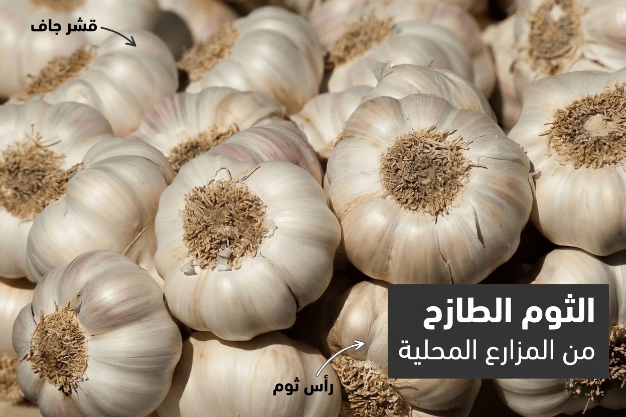 تناول الثوم قبل النوم: فوائد مدهشة كُشف عنها!