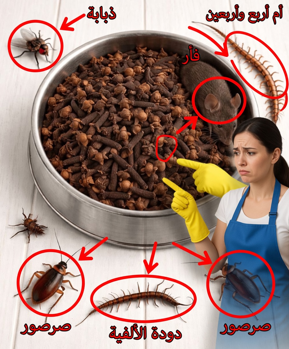 حيل المنزل والحديقة: كيفية استخدام القرنفل للتخلص من الحشرات طبيعيًا