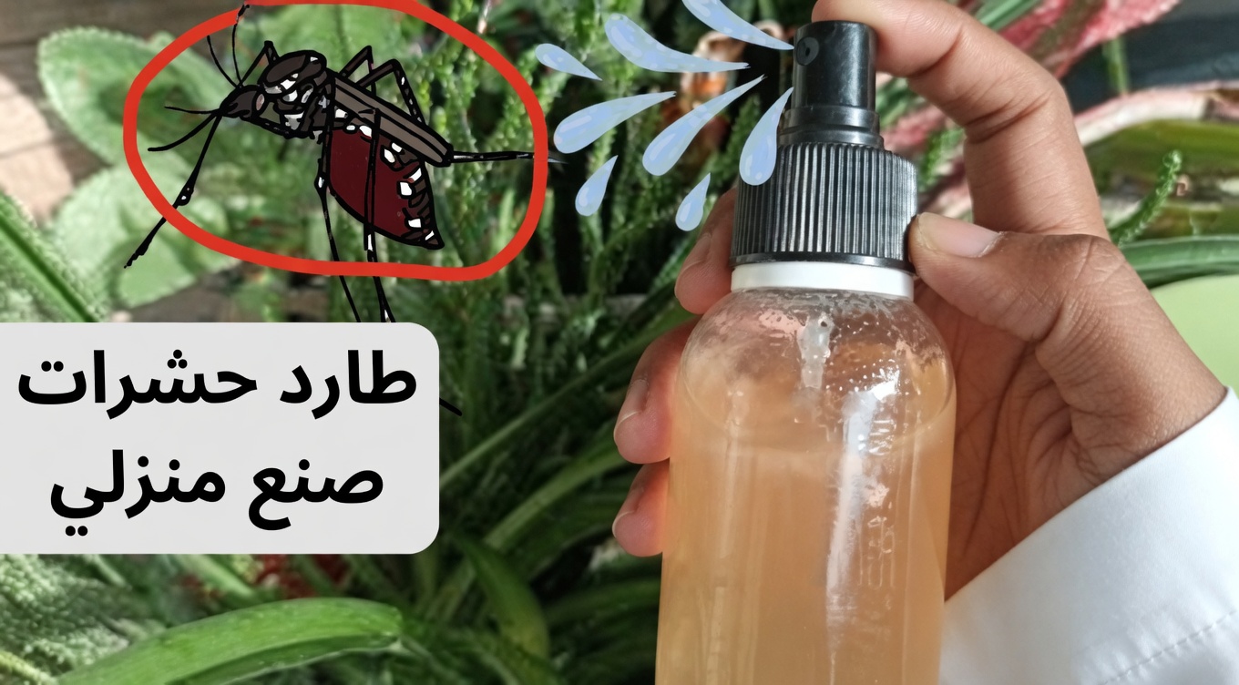 حيل المنزل والحديقة: كيفية استخدام القرنفل للتخلص من الحشرات طبيعيًا