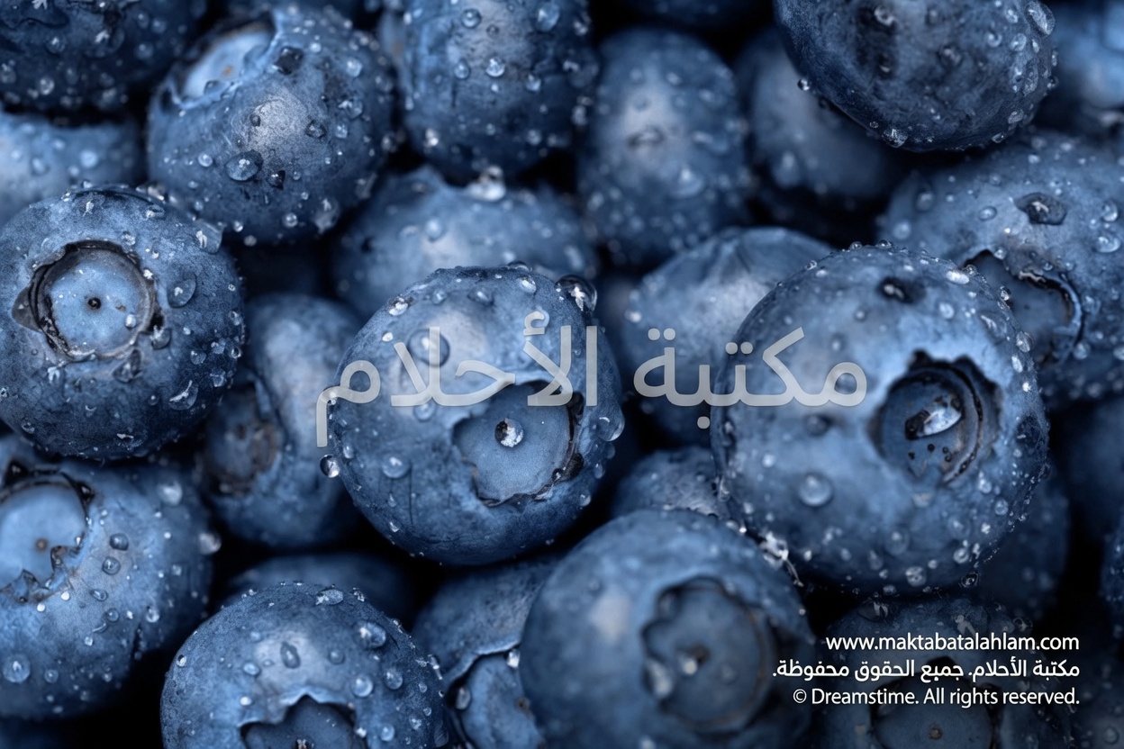 9 أعشاب طبيعية تستعيد البصر وتحل مشاكل العين (آمنة للجميع)