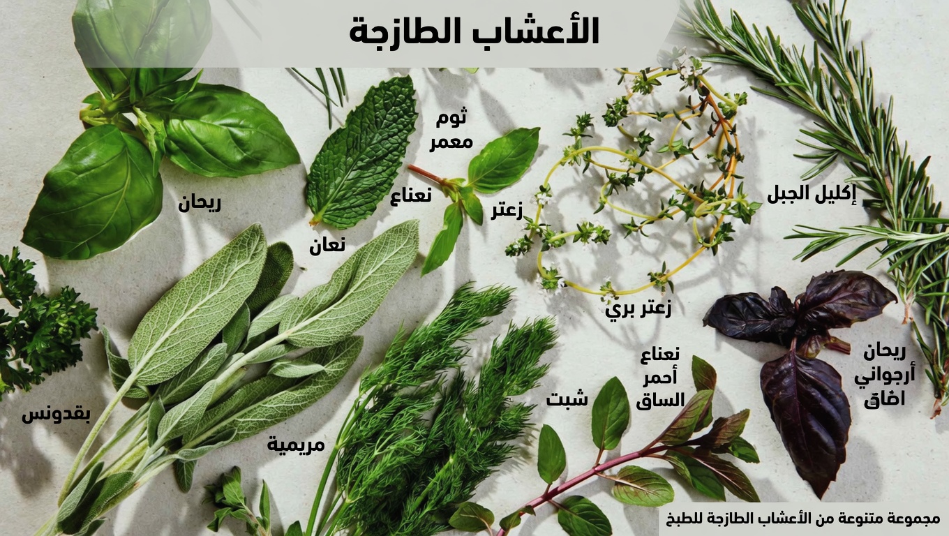 9 أعشاب طبيعية تستعيد البصر وتحل مشاكل العين (آمنة للجميع)