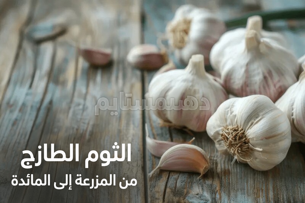 5 طرق طبيعية قد يدعم بها الثوم والقهوة مستويات صحية من هرمون التستوستيرون بعد سن السبعين