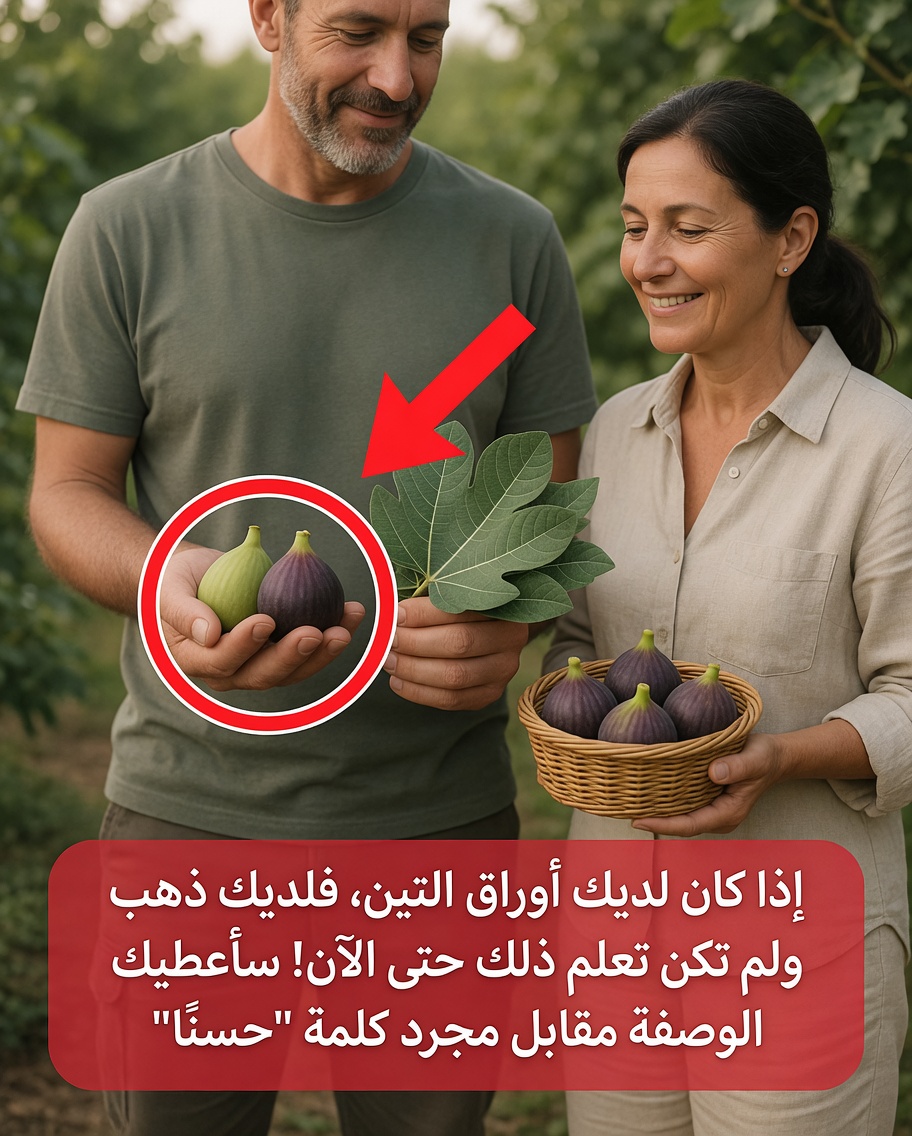 10 فوائد صحية محتملة لأوراق التين قد لا تعرفها