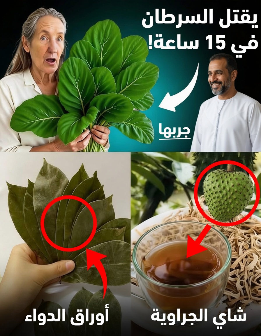 الورقة التي تدمر الخلايا السرطانية—لماذا لا يتحدث عنها أحد