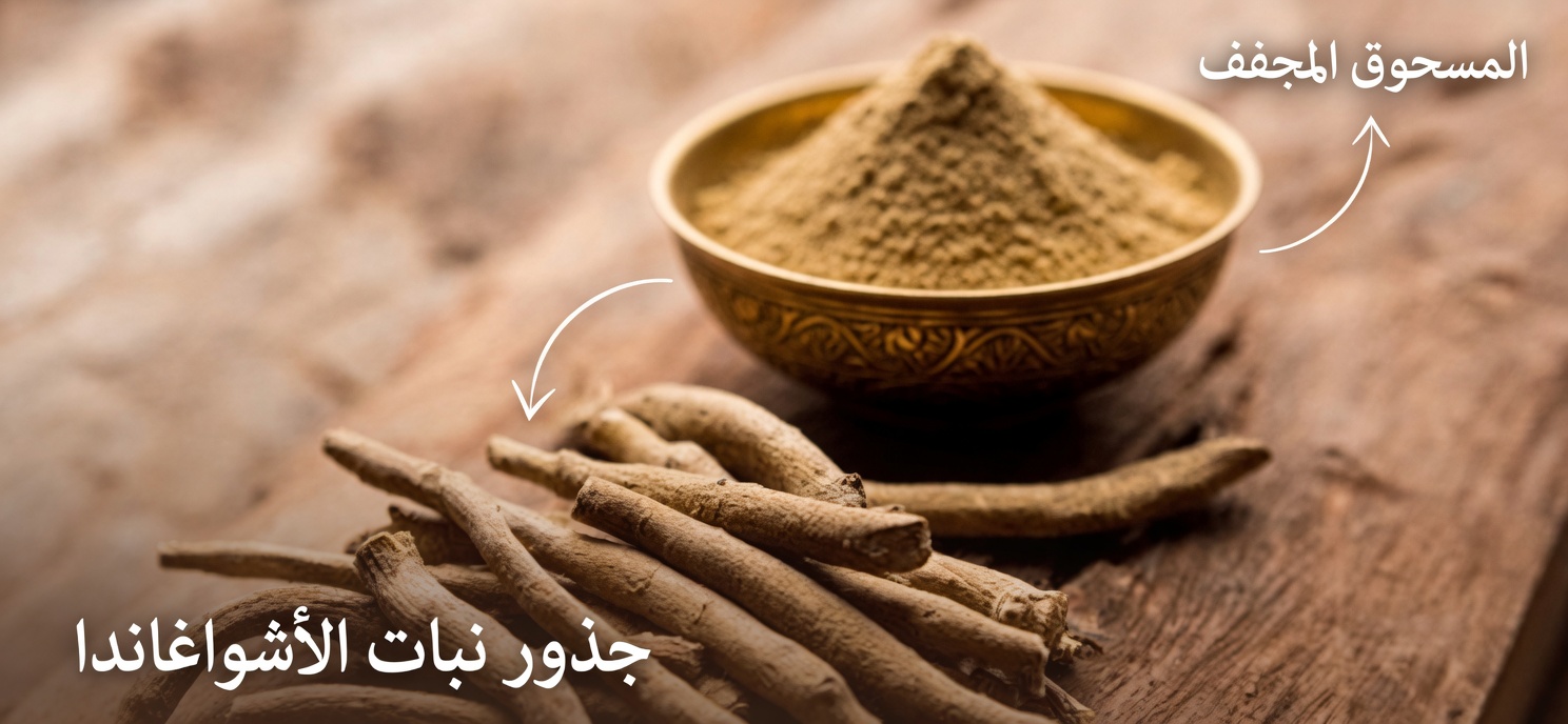 الأعشاب والأوراق الطبيعية التي قد تدعم صحة الغدة الدرقية: أسرار منسية يجب أن تعرفها