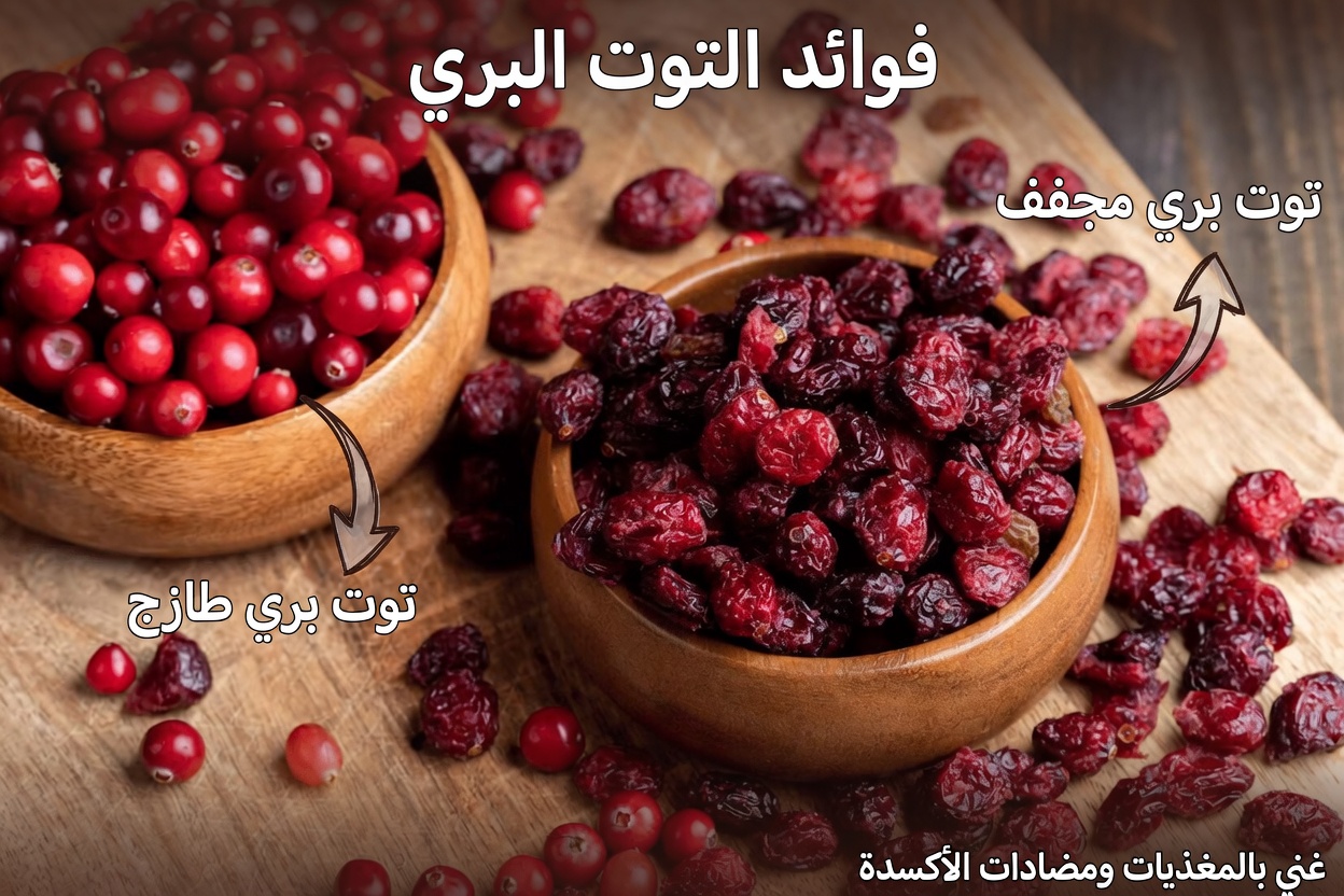 طعامان خارقان لتعزيز الكلى قد يساعدان في دعم وظيفة الكلى الصحية بشكل طبيعي