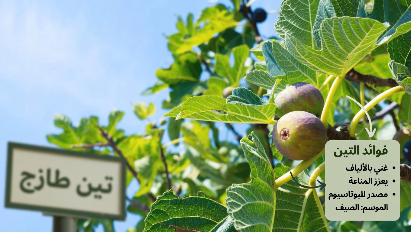 فوائد أوراق التين وطرق بسيطة لاستخدام هذه الخضرة المهملة في المنزل