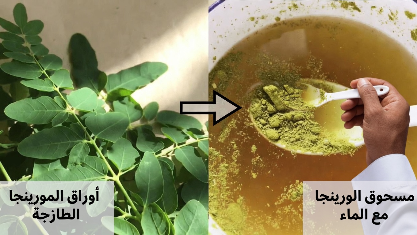 هل تجاوزت الستين؟ اكتشف كيف قد تساعد أوراق المورينغا في دعم مستويات سكر الدم الصحية ووظائف الشرايين لدى كبار السن