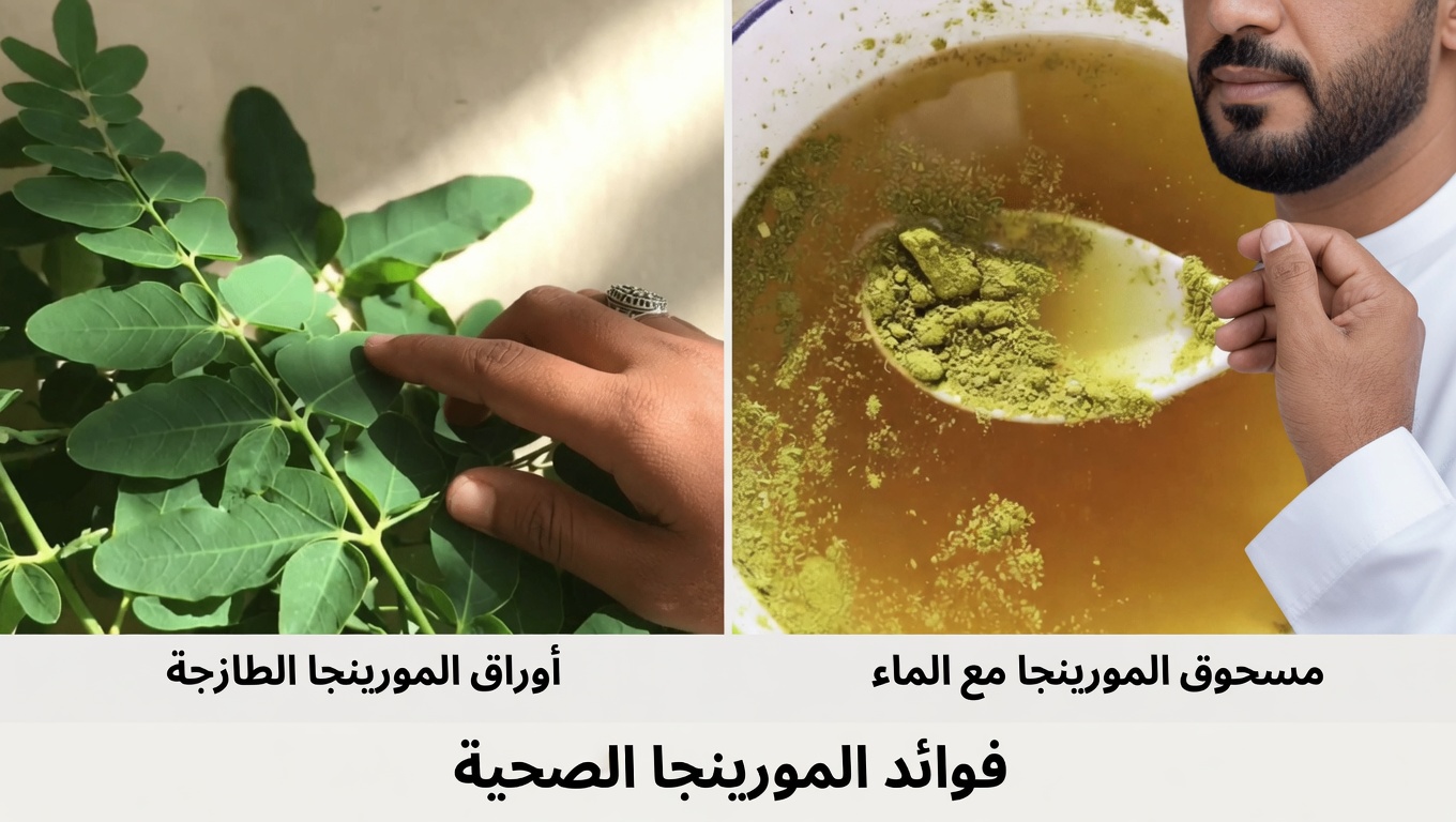 هل تجاوزت الستين؟ اكتشف كيف قد تساعد أوراق المورينغا في دعم مستويات سكر الدم الصحية ووظائف الشرايين لدى كبار السن