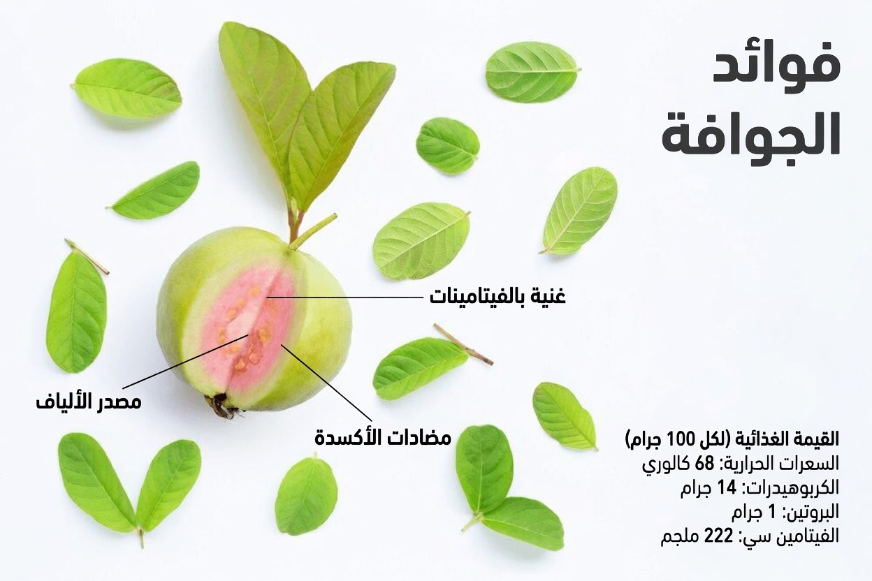 اكتشف 17 طريقة مدهشة يمكن لأوراق الجوافة أن تدعم روتينك الصحي بعد سن الأربعين – رؤى من أجل صحة يومية