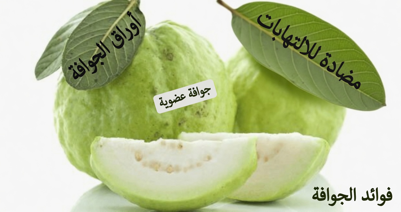 اكتشف 17 طريقة مدهشة يمكن لأوراق الجوافة أن تدعم روتينك الصحي بعد سن الأربعين – رؤى من أجل صحة يومية