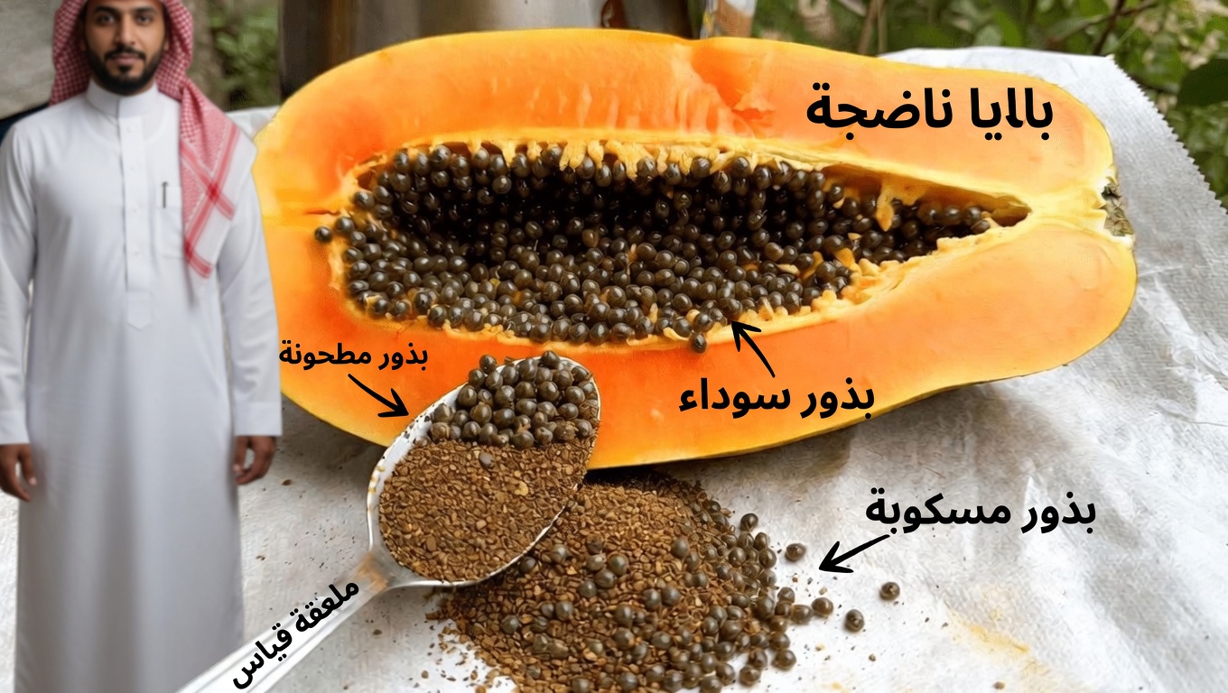 بذور البابايا: هل ينبغي تناولها يوميًا؟ ما الذي تُظهره الأبحاث فعليًا