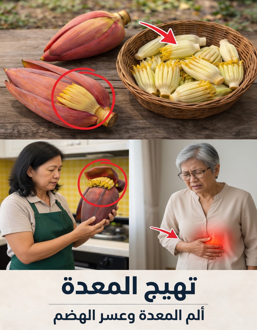 زَهرة الموز: كنزٌ مخفيّ لدعم توازن سكر الدم وصحة القلب والهضم