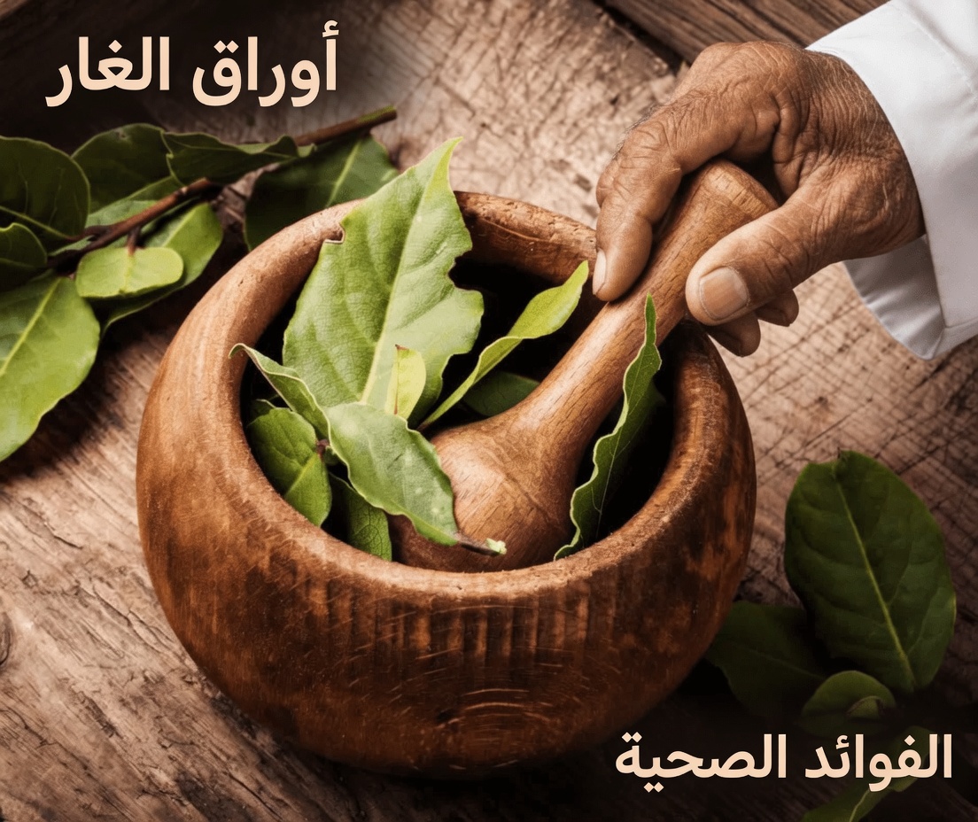 استكشاف الفوائد المحتملة لأوراق الغار للبشرة: مكوّن طبيعي في مطبخك