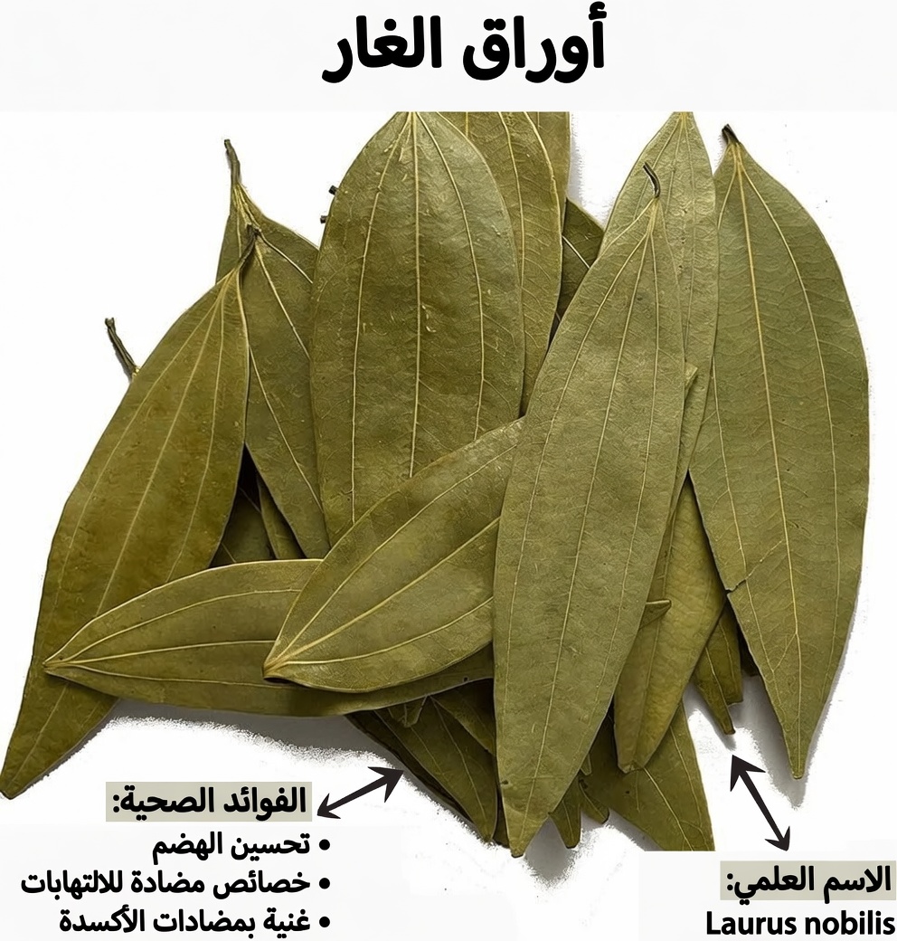 ورق الغار: العنصر الأساسي في المطبخ الذي قد يدعم بشرة أكثر نعومة ومظهرًا أكثر شبابًا مع التقدم في العمر