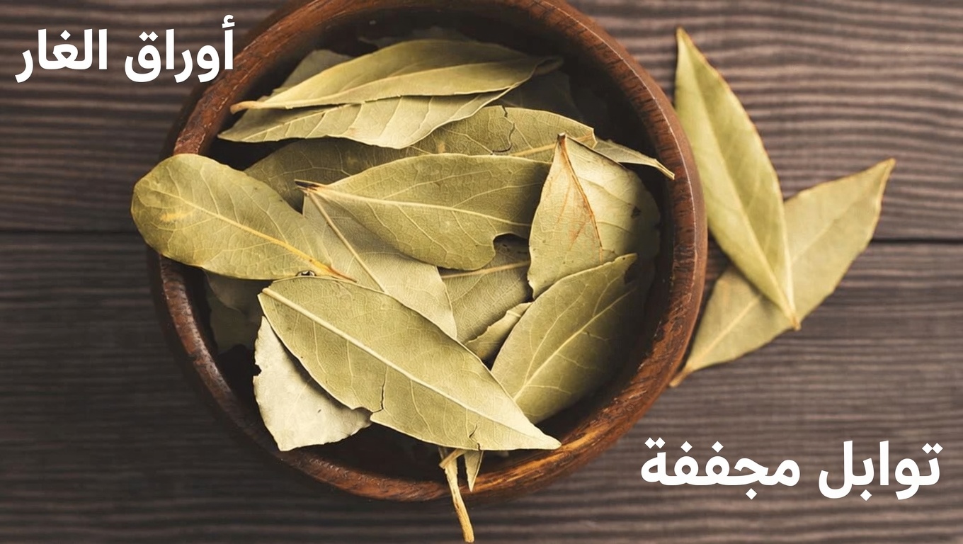 ورق الغار: العنصر الأساسي في المطبخ الذي قد يدعم بشرة أكثر نعومة ومظهرًا أكثر شبابًا مع التقدم في العمر