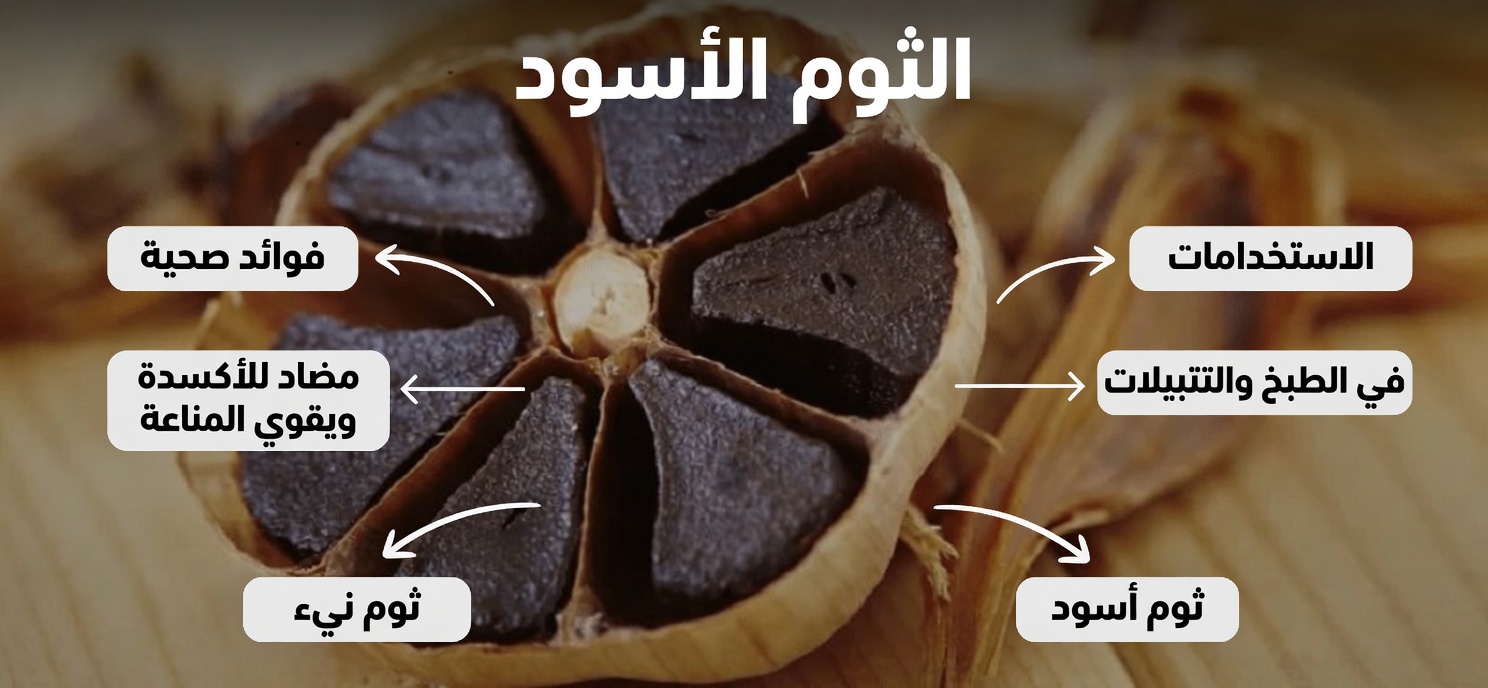 هل صحيح أن الثوم يقضي على 14 نوعًا من البكتيريا و13 نوعًا من العدوى؟