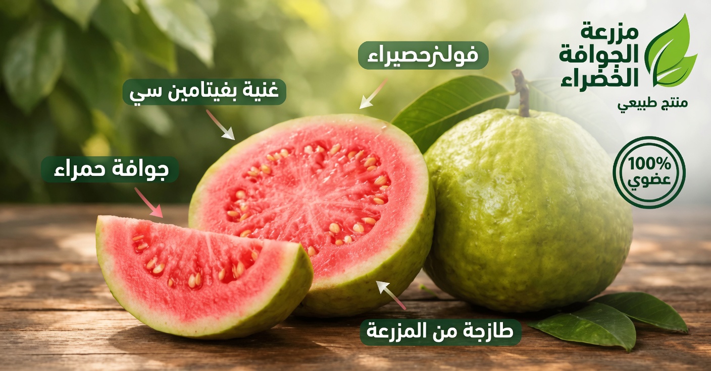 كيفية استخدام الجوافة لدعم صحة العين — علاجات طبيعية لتحسين بصرك