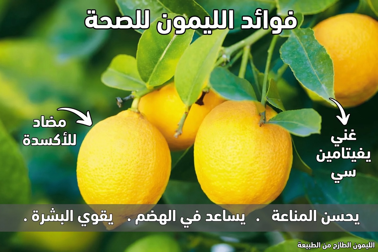 اكتشف منقوع الشايوت البسيط بالثوم والليمون: طريقة منعشة لدعم عافيتك اليومية