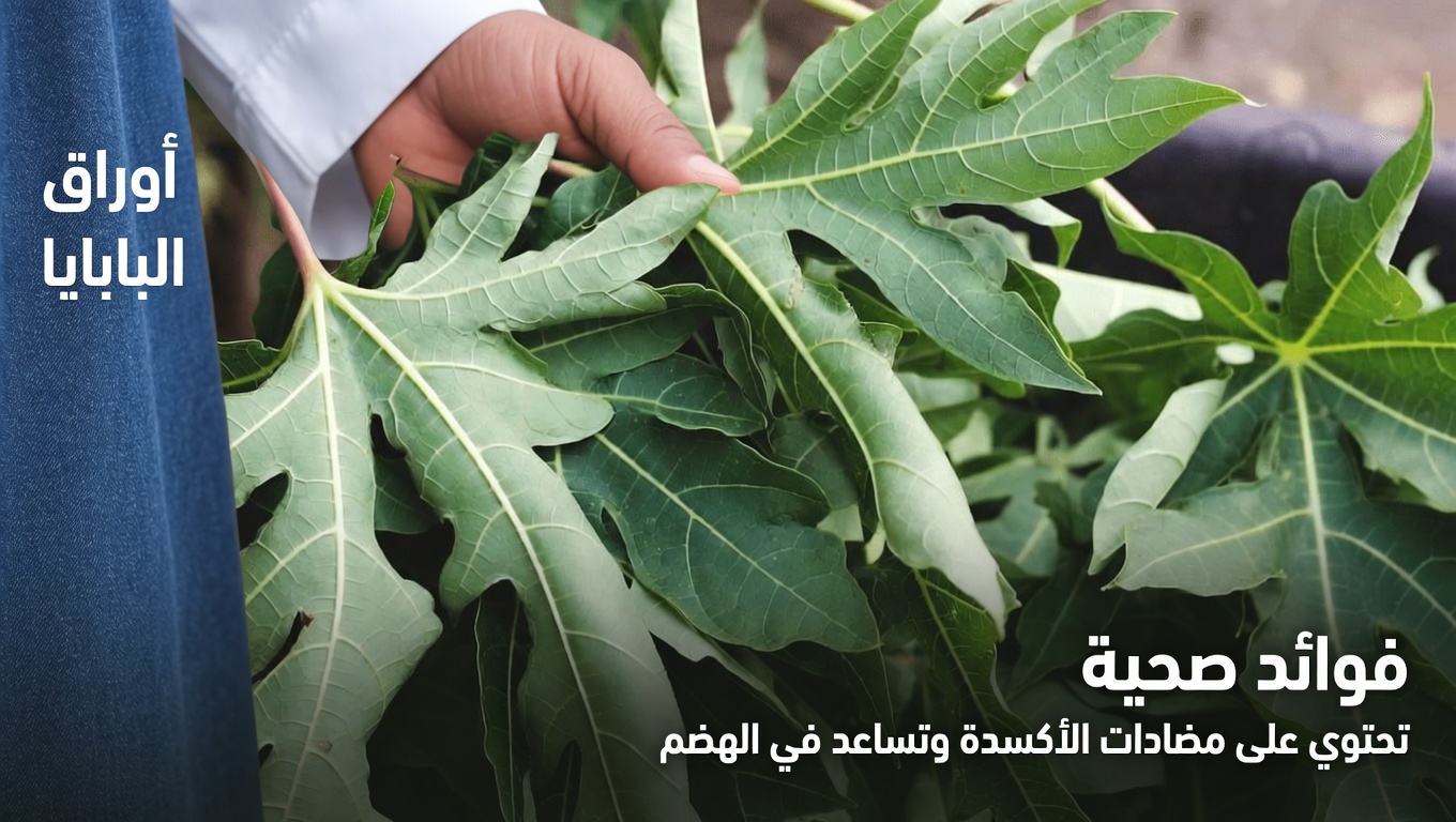 اكتشف إمكانات أوراق البابايا للحصول على شعر أكثر صحة وكثافة خلال ليلة واحدة