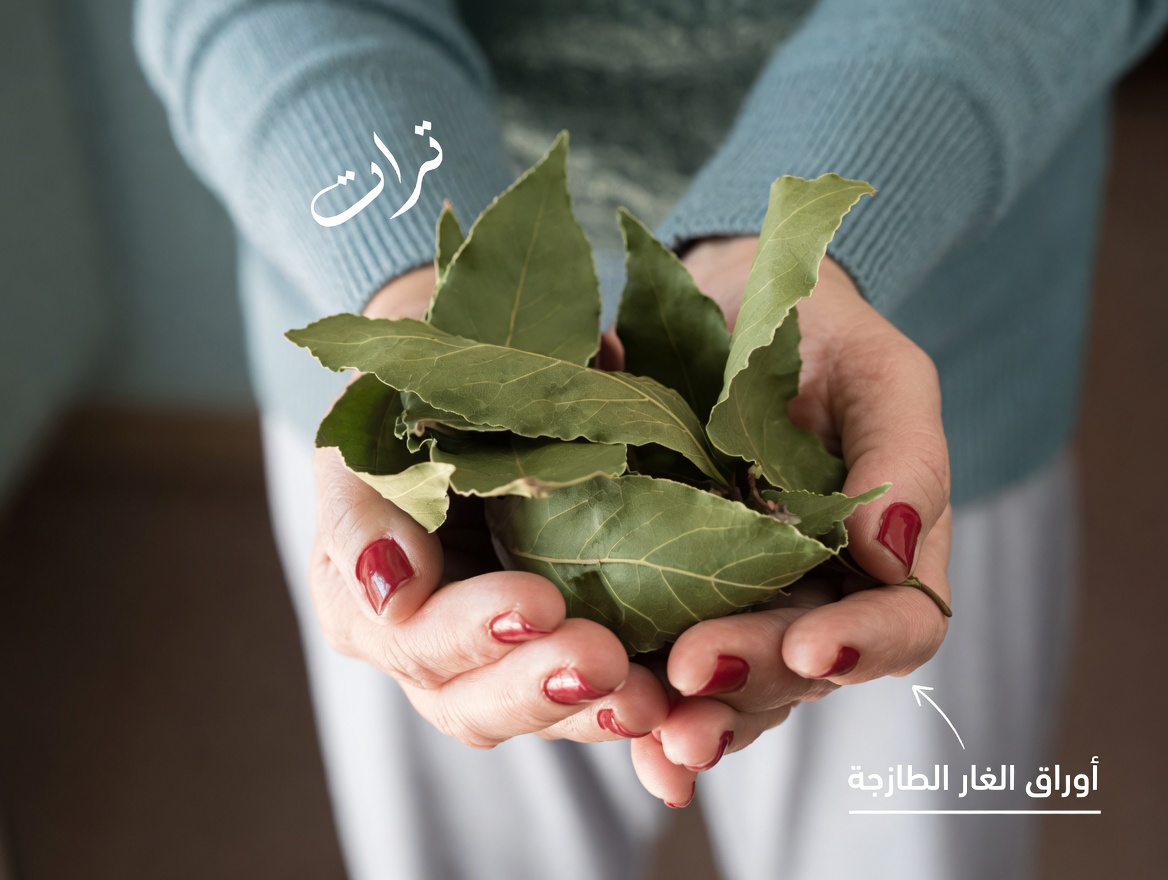 اكتشفي الفوائد الحقيقية لورق الغار للبشرة الناضجة بعد سن الستين: فصل الحقائق عن الخرافات المنتشرة على مواقع التواصل