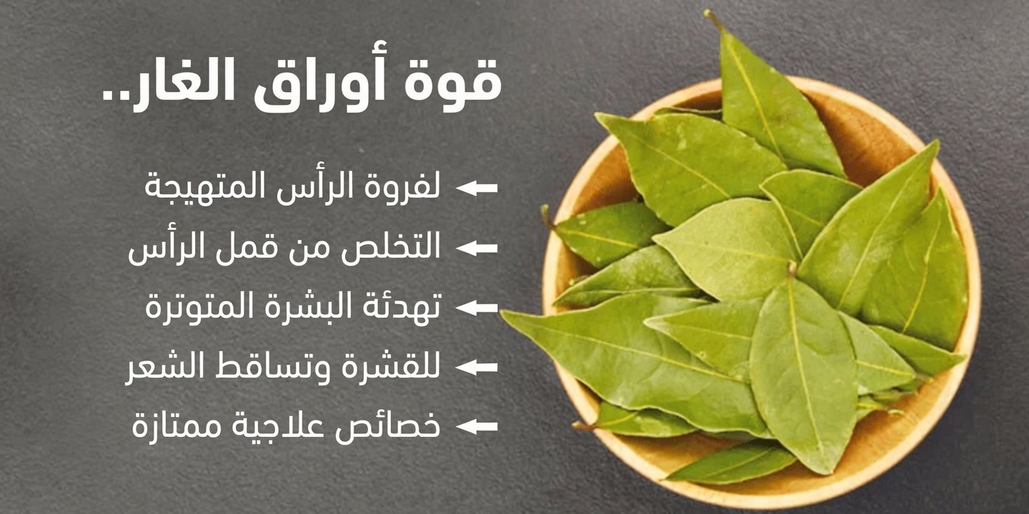 اكتشفي الفوائد الحقيقية لورق الغار للبشرة الناضجة بعد سن الستين: فصل الحقائق عن الخرافات المنتشرة على مواقع التواصل